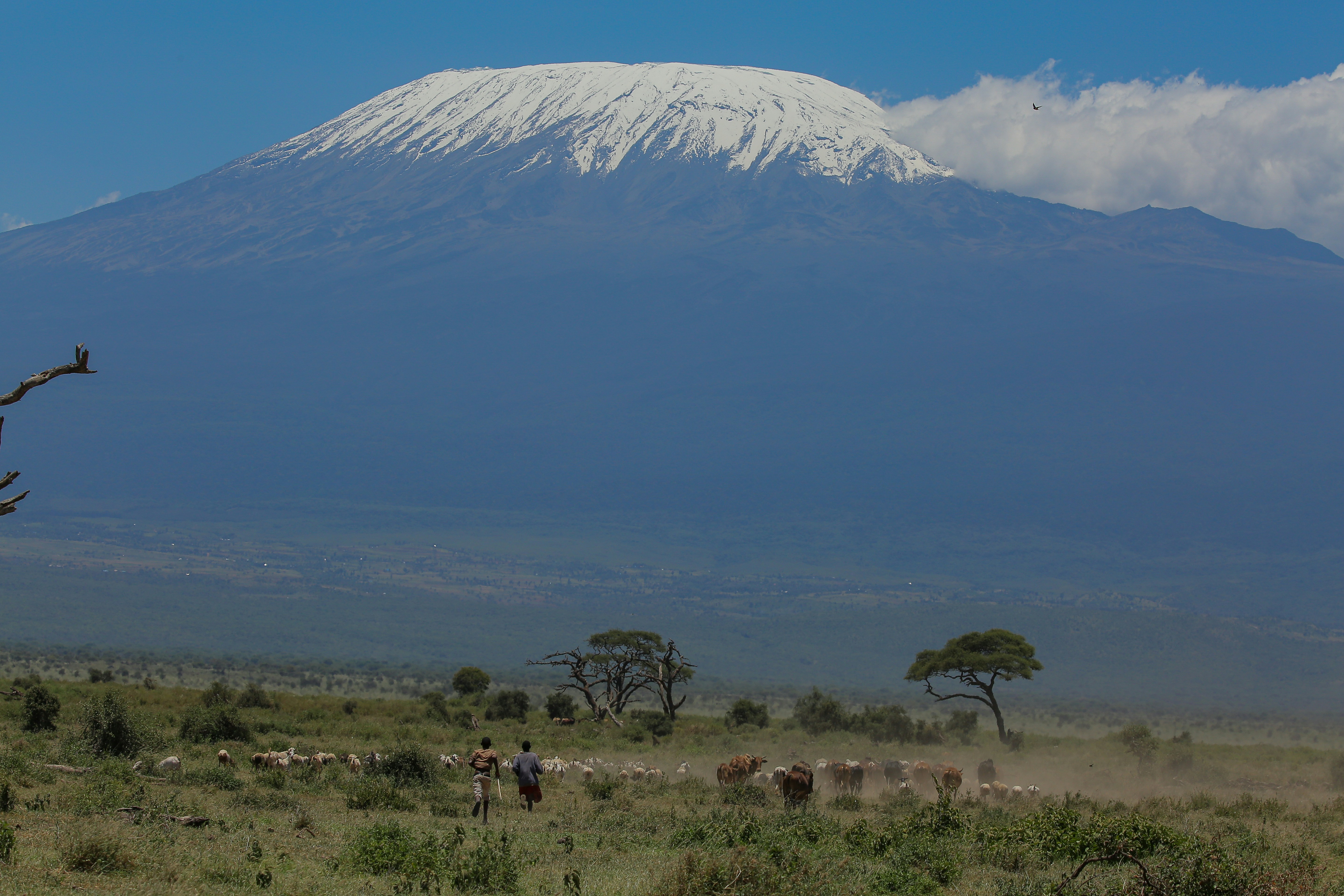 East Africa Safari 4